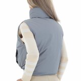 Korte omkeerbare grijze bodywarmer._