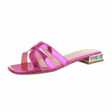 Fuchsia mule Rana_