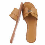 Camel mule Boja_