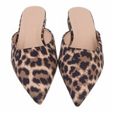 Leopard mule Bregita_