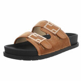 Camel mule Mireille_