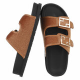Camel mule Mireille_