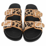 Leopard-camel mule Mireille_
