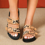 Leopard-camel mule Mireille_