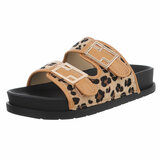 Leopard-camel mule Mireille_