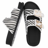 Zebra witte mule Mireille_