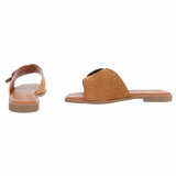 Camel mule Coco_