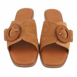Camel mule Coco_