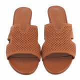 Camel mule Candice_