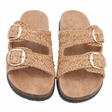 Camel mule Celia_