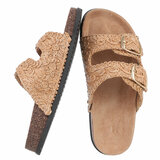 Camel mule Celia_