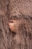 Korte bruine two tone faux fur jas _