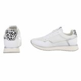 Witte lage sneaker Jenara_