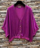 Purperen gilet in satin  _