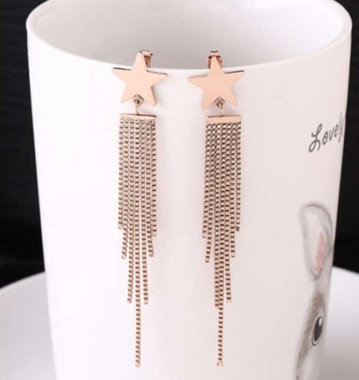 Gouden stainless steel oorbellen met ster.