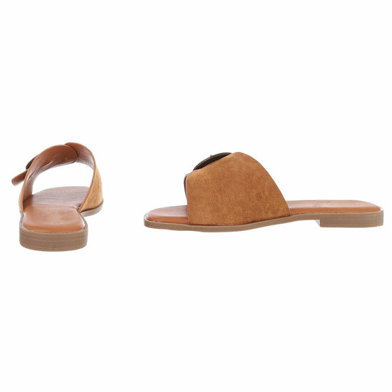 Camel mule Coco