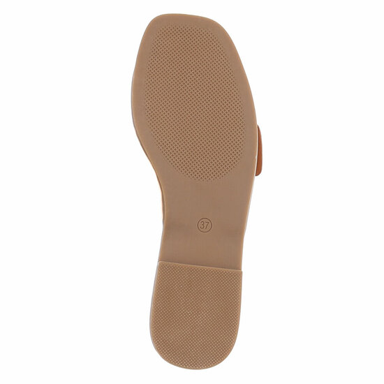 Camel mule Coco