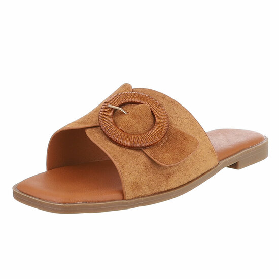 Camel mule Coco