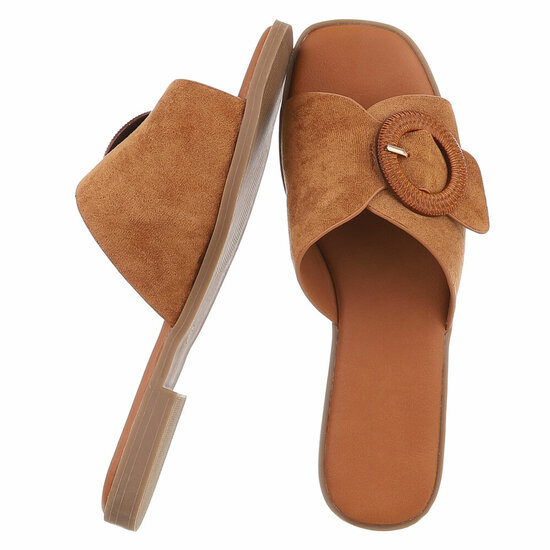 Camel mule Coco