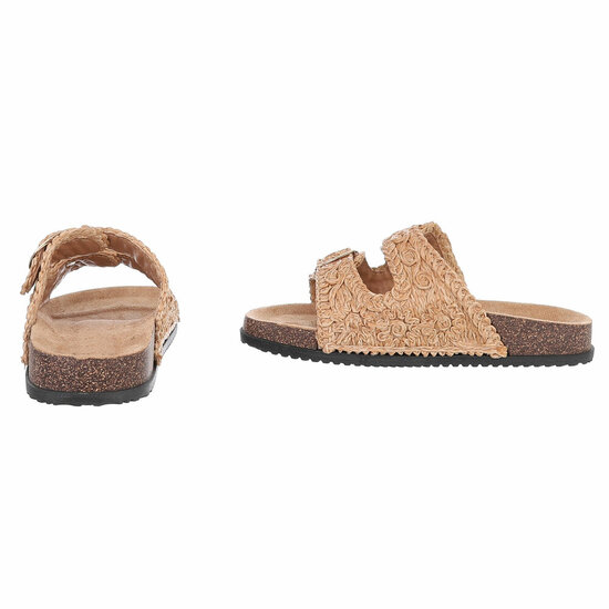 Camel mule Celia