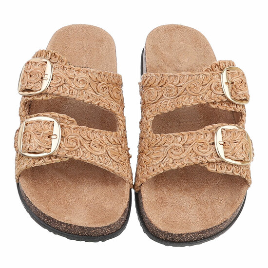 Camel mule Celia